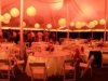 chinese-lanterns